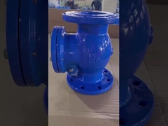 Wasser-Swing-Scheckventil von Angesicht zu Angesicht DIN3202-F6