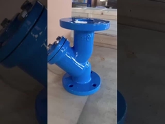 Gusseisen/Duktile Eisen Y Strainerventil 150LB für Wasser