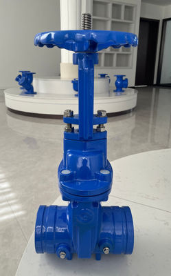 DN50-DN300 ANSI Rising Stem Soft Seat Groove Gate Valve
