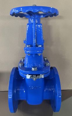 ANSI Flanged Metal Seat Gate Valve DN50-DN300 Cast Iron